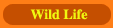 Wildlife In India