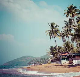 anjuna beach image