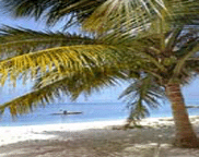 Indian Beaches,Beach tour India,Beach Holidays to India,beach tour operator,Indian beach travel guide, tourist attraction,beaches in India,travel agent
