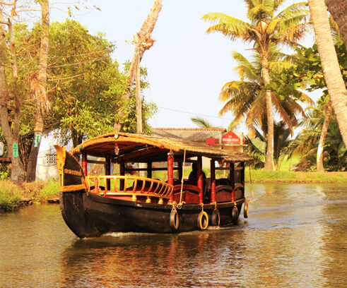 Houseboats in Kerala