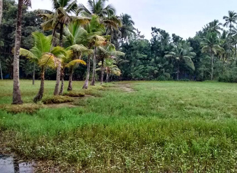 Tourism Village in Kerala