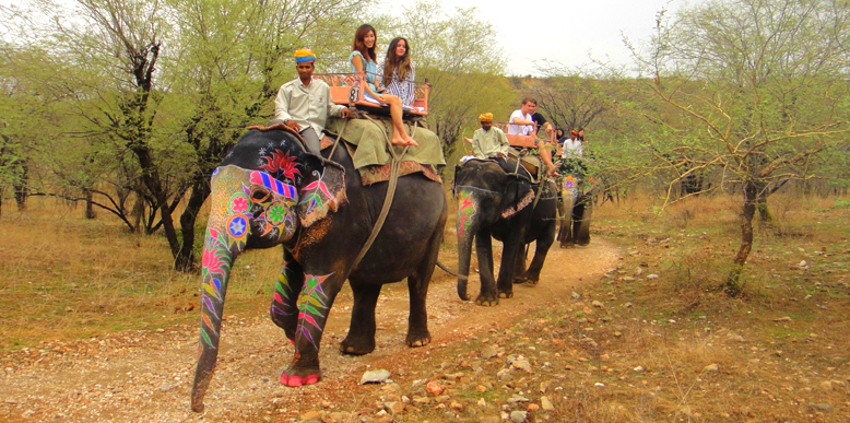 Elefantastic-Jaipur