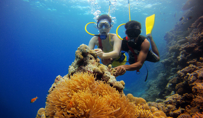 Image result for scuba diving lakshadweep islands