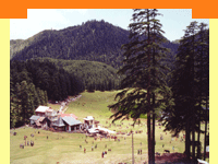 Khajjiar,Khajjiar Travel,Khajjiar  Travel Agent,Khajjiar   Tour,Places in Khajjiar,Khajjiar India, Khajjiar  Hill station Himachal Pradesh,Visit Hills in Khajjiar,Tour Packages for Khajjiar ,Khajjiar  Himachal Pradesh