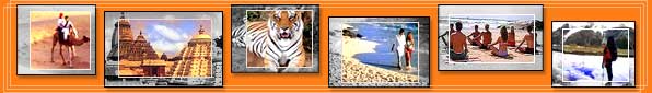 Tour My India - Indian Online Travel Agents and Tour Operators, India Travel Guide. Provides Travel services for India, including Travel Bookings for India, Hotel and Air Booking in India, India tours, Travel India, Visit India, Tour to India, India Trip, Trip to India, India Travel Packages, India Tour Packages, Travel Plans for India, India Travel Guide, Tourism of India, India Tourism,Travelling in Indian beaches, Hiil stations of india heritage, wildlife, indian Ayurveda & Yoga, India Travel information, Indian Voyage, Attractive Packages of India, Packages for India, Tourist Attraction of India, Taj Mahal, Travel in India, Indian Travel Agents, Special Interest Travel for India. 