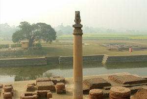 Ashoka Pillar 