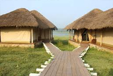 The Bison Kabini Resort