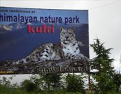 Himalayan National Park, Kufri