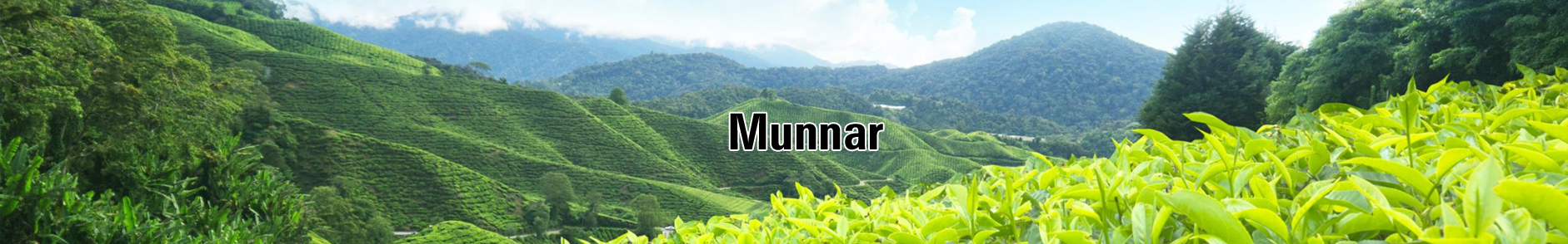 Munnar Hill Station Holiday Packages