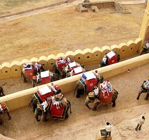 Family Tour Packages Rajasthan