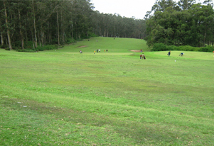 ooty-golf-course