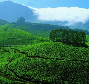 Kerala Spices Holiday Package