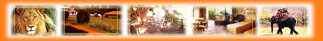 Tour My India Complete Travel Portal for your Jungle resort holidays in India,Information on Wildlife Resorts in India,India Jungle Resort,Indian Wildlife Resorts,Jungle Resort Packages,wildlife lodges in india,indian jungle resort, jungle lodges,Wildlife Resort of India,Jungle Resorts,Wildlife Resorts in India,Wildlife Resort,Jungle Lodges & Resorts booking of jungle lodges, jungle resorts, forest lodge, wildlife resort, jungle lodge india, travel lodge, jungle lodges in india, rain forest resort, forest lodges