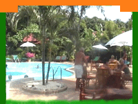 Information on indian wildlife resorts ,jungle resorts,loges.india wildfe resort and lodges jungle resort and jungle lodges  ,wildlife resorts india,indian wildlife lodges.
