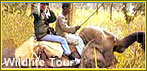WILDLIFE TOUR PACKAGES