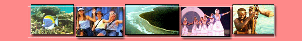 Andaman Nicobar travel guide,Andaman and Nicobar island travel guide,Andaman & nicobar tour operators,andaman nicobar tourist attractions,andaman nicobar tourist map,andaman nicobar tourism info,andaman nicobar india,andaman nicobar tour and travel agency,climate in Andaman nicobar,flora and fauna,history of nicobar island,Andaman Nicobar tour,Andaman Nicobar india, travel guide of Andaman Nicobar,Andaman Nicobar tour operator,tour operator for Andaman Nicobar,Andaman Nicobar travel agents,travel agents india