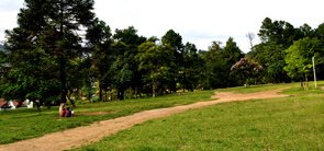 Indira Gandhi Park, Itanagar