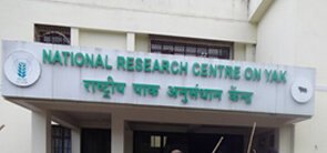 national-research-centre