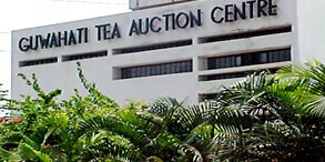 Guwahati Tea Auction Center