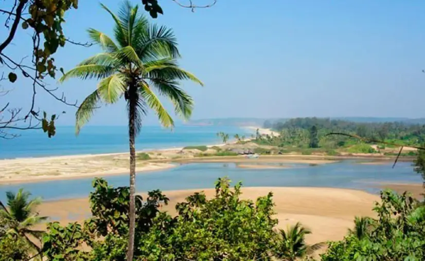Morjim Beach Goa