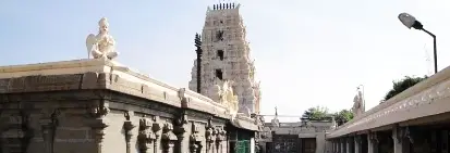 Shri Lakshmi Narasimha Temple