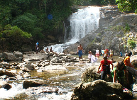 Lakkam Waterfall Munnar