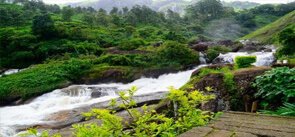 Lakkam Waterfalls, Munnar