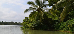 Ponnumthuruthu Island Varkala, Kerala