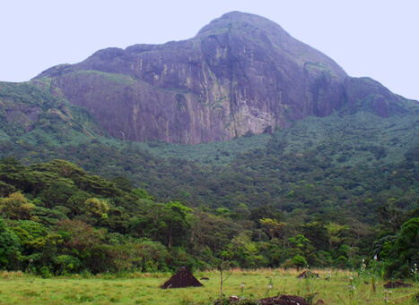 Agasthyakoodam Peak Trivandrum