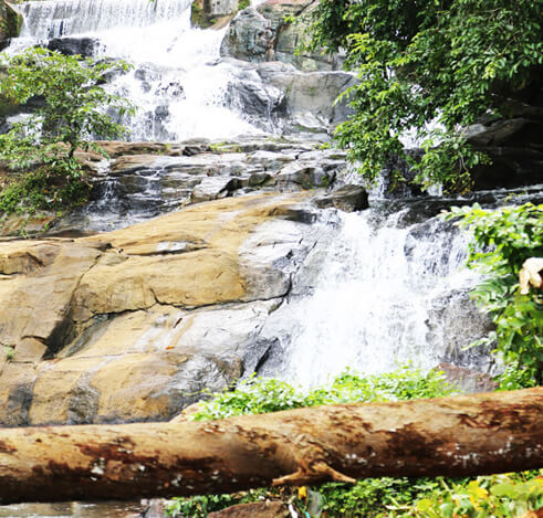 Aruvikkuzhi Waterfalls Kottayam, Kerala