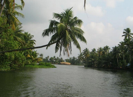 Ashtamudi Lake Kollam, Kerala