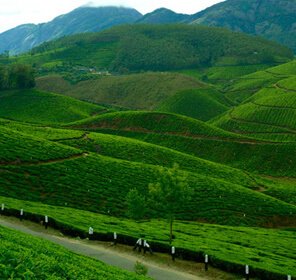 Hill Station Holiday Packages Kerala