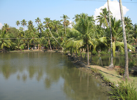 Village Tourism in Kerala