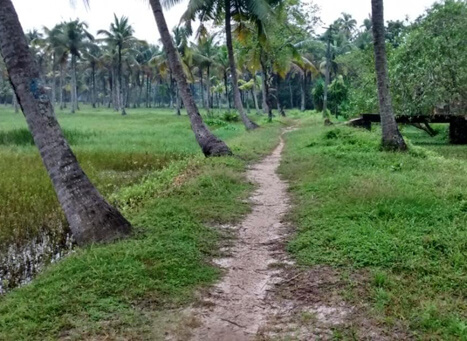 Tourism Village in Kerala