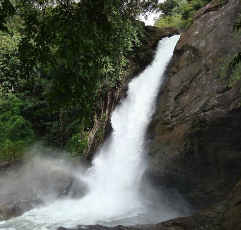 Sentinel Rock Waterfalls Wayanad, Kerala
