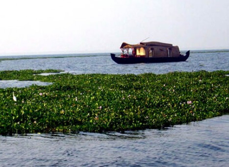 Vembanad Lake, Kottayam