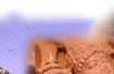 Cities Of Rajasthan