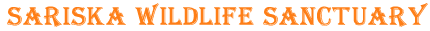 SARISKA WILDLIFE SANCTUARY