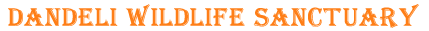 Dandeli wildlife sanctuary,dandeli wildlife sanctuary,karnataka,India,dandeli tour packages,dandeli tourist attractions,dandeli tourist guide,dandeli wildlife sanctuary