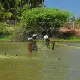 fishing image