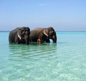 Andaman and Nicobar Beaches