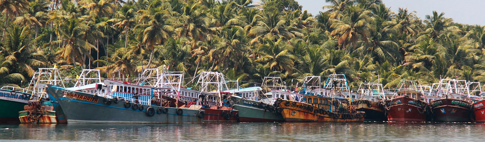 Rajput Heritage Tour of India