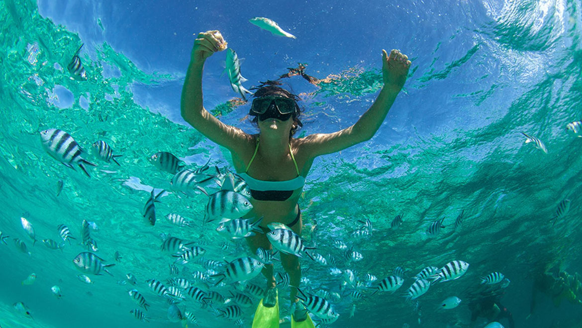 An Introductory Guide to Snorkeling 