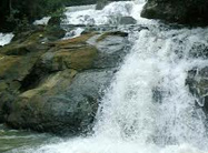 Aruvikkuzhi-Waterfalls