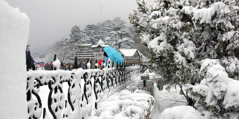 shimla