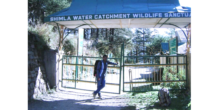 Shimla Water Catchment Wildlife Sanctuary, Shimla