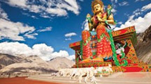 Spiritual Tours to Ladakh
