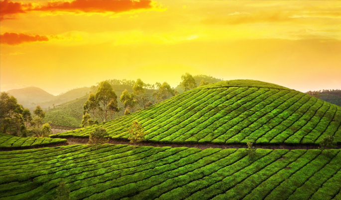 munnar