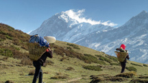 Yuksom to Dzongri & Goecha La Trek