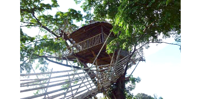 tree-houses-in-Mawnlynnong